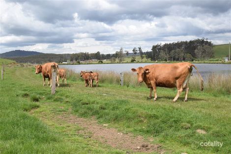 Property photo of 139 Maroneys Road Quamby Brook TAS 7304