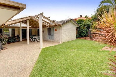 6 Parakeet Ct, Wurtulla, QLD 4575