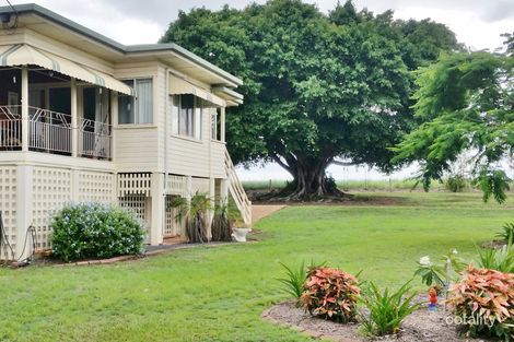 Property photo of 350 Knockroe Road North Isis QLD 4660