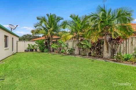 Property photo of 14 Tuckeroo Place Reedy Creek QLD 4227