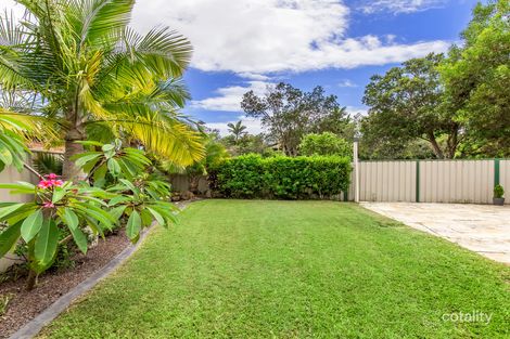 Property photo of 14 Tuckeroo Place Reedy Creek QLD 4227