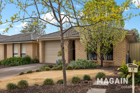 20 Dodd Ave, Port Noarlunga, SA 5167