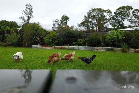 Property photo of 7 Moran Close Main Arm NSW 2482