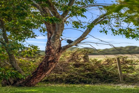 Property photo of 36 Pienza Way Leopold VIC 3224
