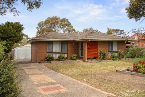 Property photo of 11 Raywood Avenue Cowes VIC 3922