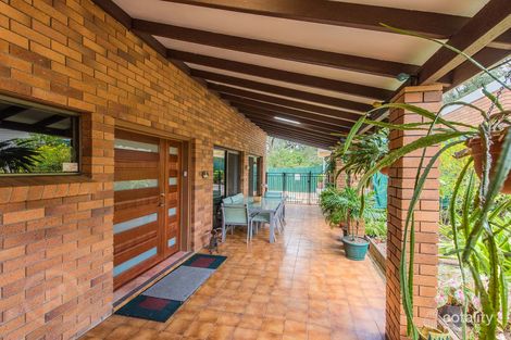 Property photo of 59 Ferol Street Coorparoo QLD 4151