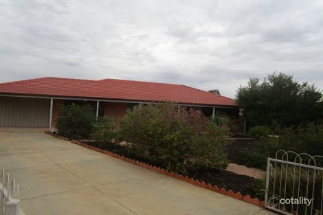 Property photo of 10 Carmel Court Barmera SA 5345