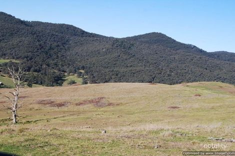 1092 Gelantipy Rd, Buchan, VIC 3885