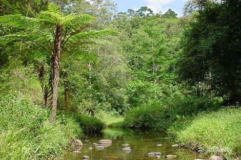 768 Urliup Rd, Urliup, NSW 2484