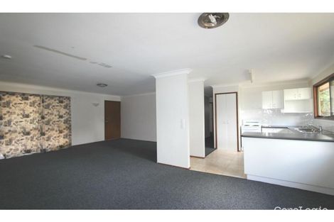 Property photo of 34 Nerine Street Kingston QLD 4114