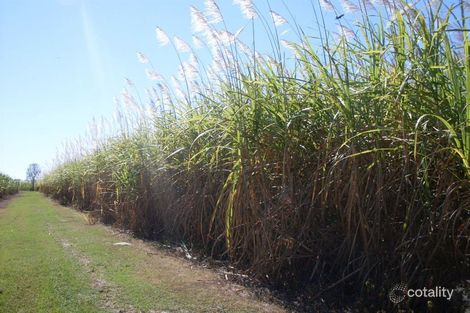 634 Up River Rd, Foxdale, QLD 4800