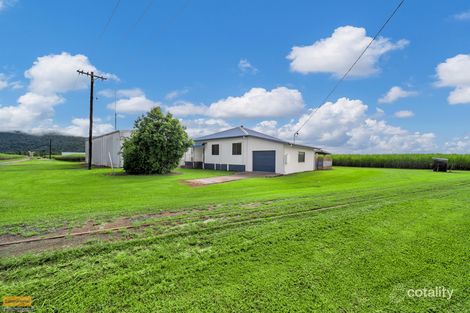 Property photo of 2 Cuthill Road Walter Lever Estate QLD 4856