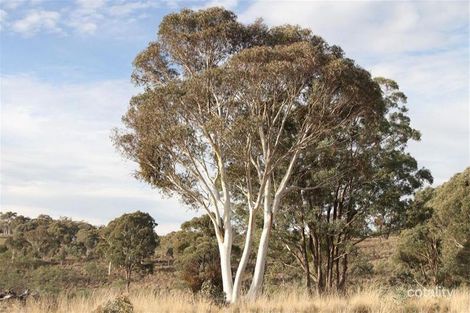 265 Mullers Lane, Lerida, NSW 2581