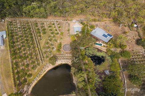 Property photo of 35 Pandanus Place Speewah QLD 4881
