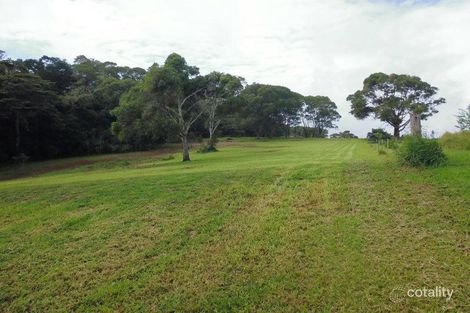 Property photo of 226 Davies Road Malanda QLD 4885
