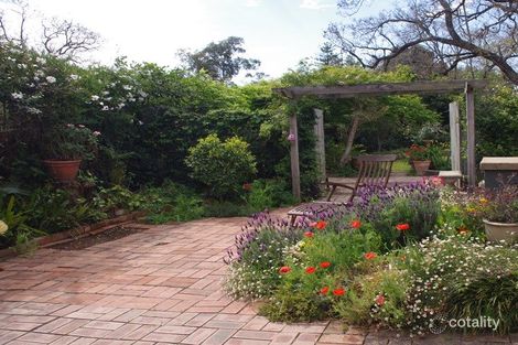 Property photo of 10 Dangar Road Singleton NSW 2330