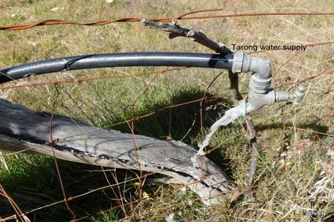 Property photo of 1757 Nanango Brooklands Road Brooklands QLD 4615