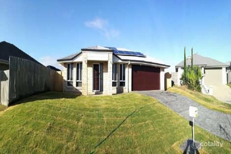 Property photo of 59 Woodrose Circuit Pimpama QLD 4209