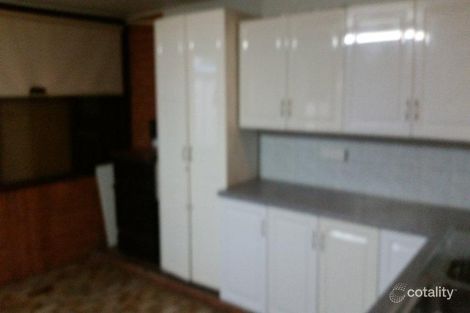 Property photo of 69 Meadows Road Mount Pritchard NSW 2170