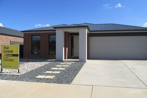 14 Yellowgum Dr, Epsom, VIC 3551