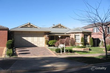 81 Avendon Bvd, Glen Waverley, VIC 3150