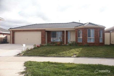 Property photo of 45 Newcombe Drive St Albans VIC 3021