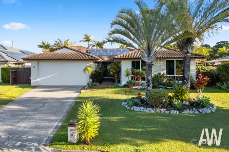 Property photo of 6 Whitewood Court Mountain Creek QLD 4557