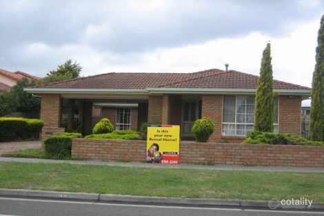 16 Baringa Park Dr, Narre Warren South, VIC 3805