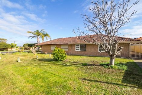 Property photo of 1 Canterbury Court Nollamara WA 6061