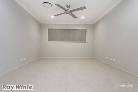 Property photo of 17 Watarrka Avenue Fitzgibbon QLD 4018