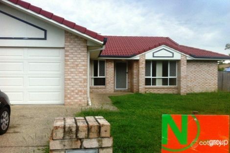 Property photo of 38 Armani Avenue Pimpama QLD 4209