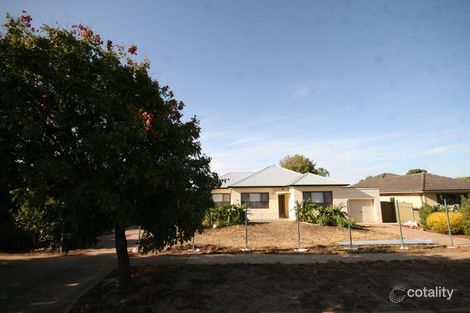 6 Wolseley Tce, Ascot Park, SA 5043