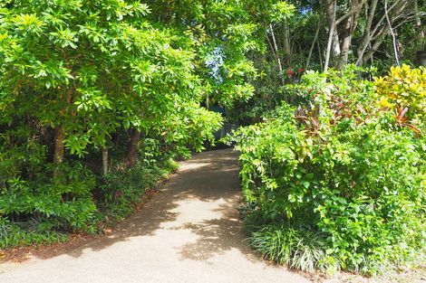 Property photo of 76 Cutten Street Bingil Bay QLD 4852