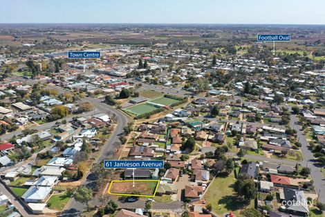 Property photo of 61 Jamieson Avenue Red Cliffs VIC 3496