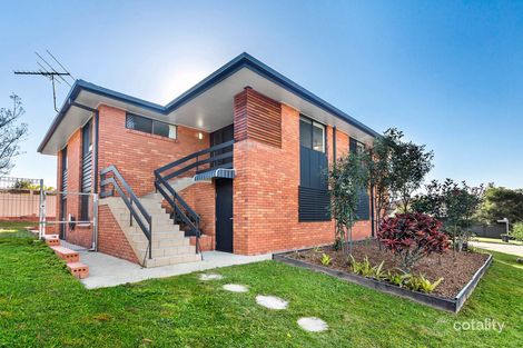 Property photo of 49 Arcola Street Aspley QLD 4034