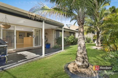 Property photo of 23 Dahlia Crescent Ormeau QLD 4208