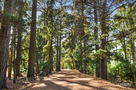 Property photo of 32 Thomas Road Red Hill South VIC 3937