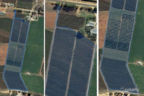 Lot 11 Anderson Rd, Loxton North, SA 5333