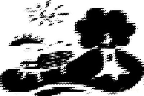 Property photo of 48 Collingwood Avenue Flinders Park SA 5025