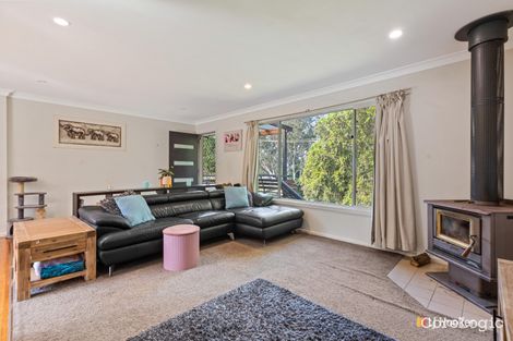 Property photo of 263 Auckland Street Bega NSW 2550