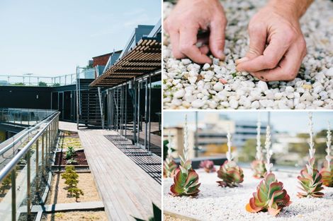 4/50 Holt St, Surry Hills, NSW 2010