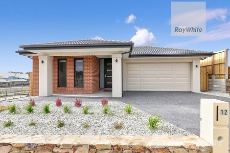 12 Annecy St, Greenvale, VIC 3059