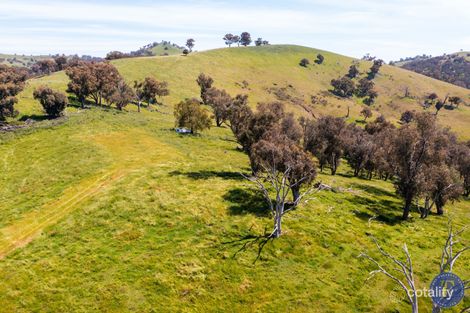 Property photo of 2100 Taylors Flat Road Taylors Flat NSW 2586