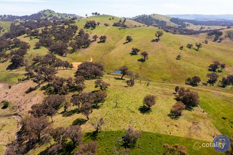 Property photo of 2100 Taylors Flat Road Taylors Flat NSW 2586