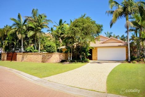 Property photo of 13 Goldfinch Court Wurtulla QLD 4575