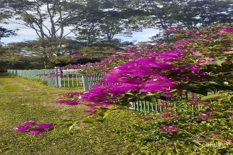 Property photo of 38 Montgomerys Road Lockyer QLD 4344