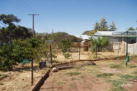 Property photo of 17 Ash Crescent Gladstone SA 5473