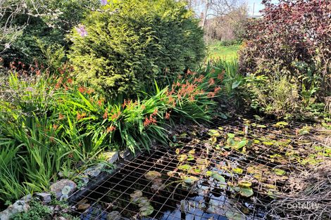 Property photo of 39A Raglan Street Somerset TAS 7322