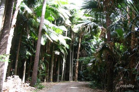 Property photo of 30 Birrerik Road Wamberal NSW 2260