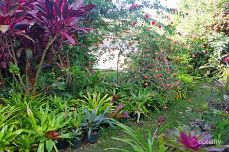 Property photo of 2 Left Bank Road Mullumbimby NSW 2482